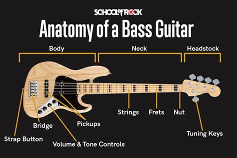 what is bass in music what does it mean to be a bassist